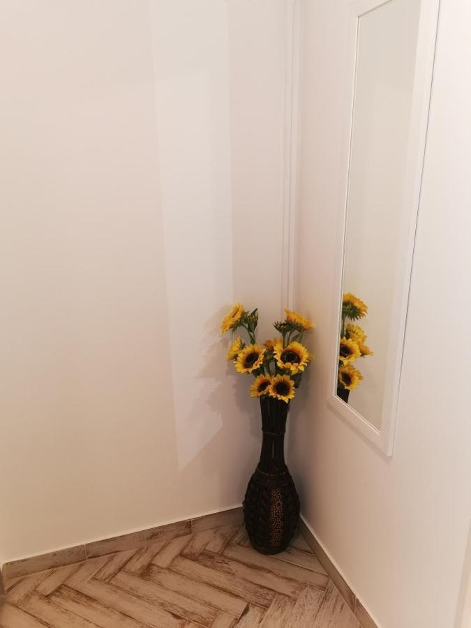 Apartament Bee Studio Iernut Zewnętrze zdjęcie